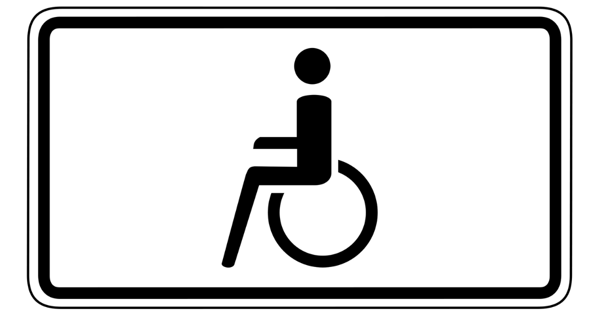 Comandi vocali per la guida dei disabili - Riparando