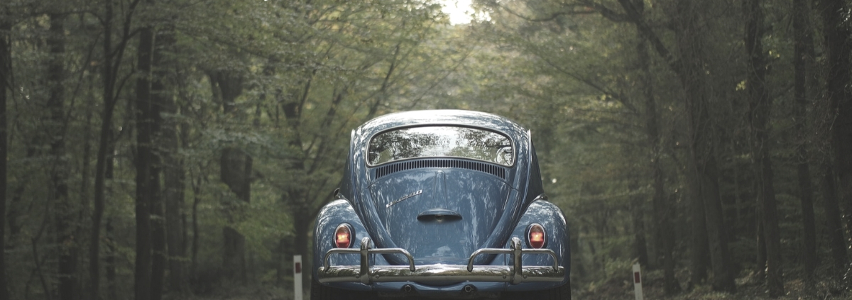 Circolare con auto d'epoca e auto storica - Riparando