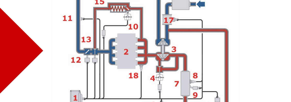 Schema ricircolo gas di scarico Renault - Riparando