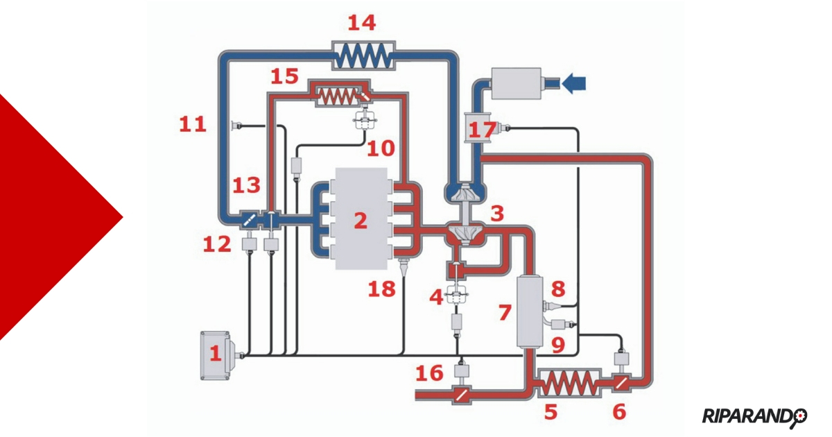 Schema ricircolo gas di scarico Renault - Riparando