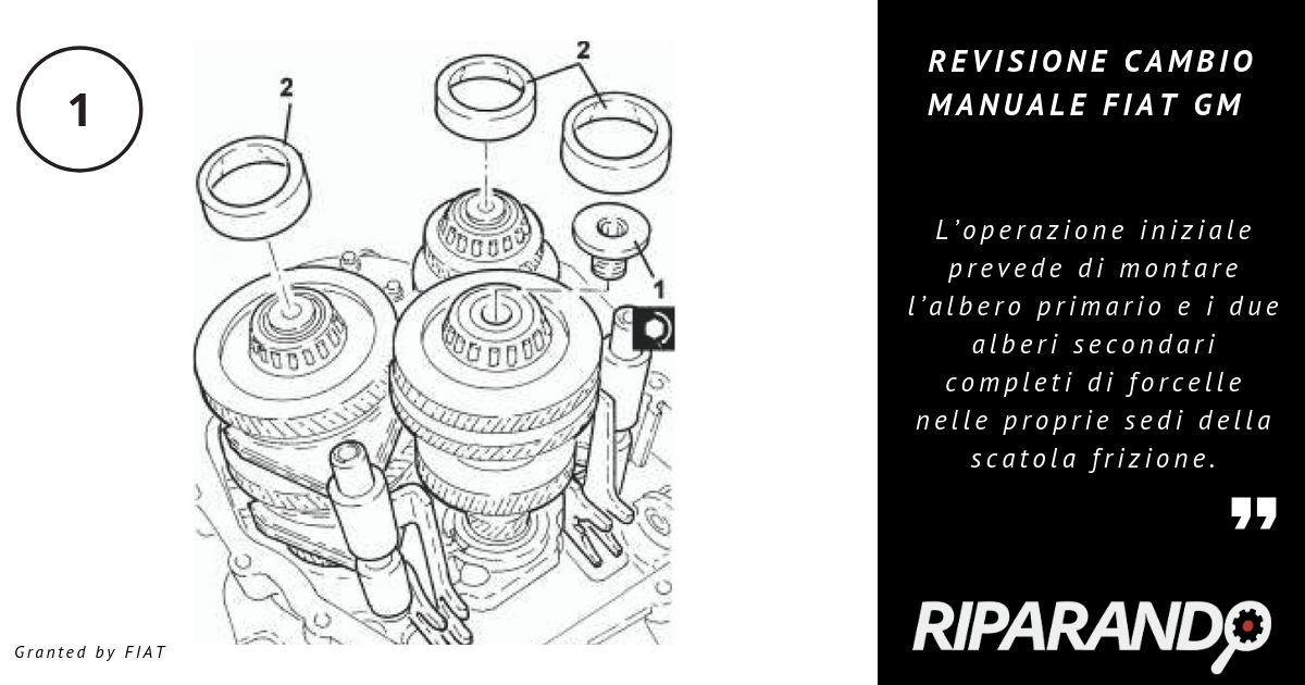 Revisione Cambio Manuale procedura 1